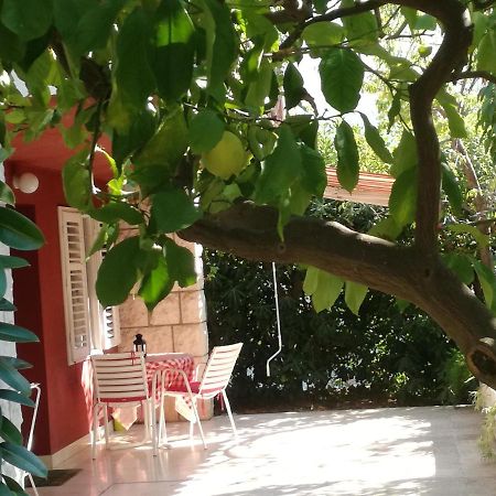 Apartment Petrovic Korčula Eksteriør bilde